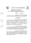 Vista preliminar de documento RESOLUCIÓN DIRECTORAL 001040-2024-GRSM/DRE/UGEL-MC