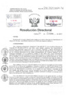 Vista preliminar de documento Resolución Directoral Hospital Nacional Daniel Alcides Carrión