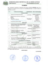 Vista preliminar de documento FE_ERRATAS-CAS_004-2024