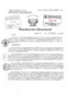 Vista preliminar de documento Resolucion Directoral Hospital Nacional Daniel Alcides Carrion