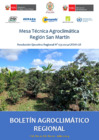 Vista preliminar de documento Boletín Agroclimático de la MTA de San Martín Vol. 02 N° 01