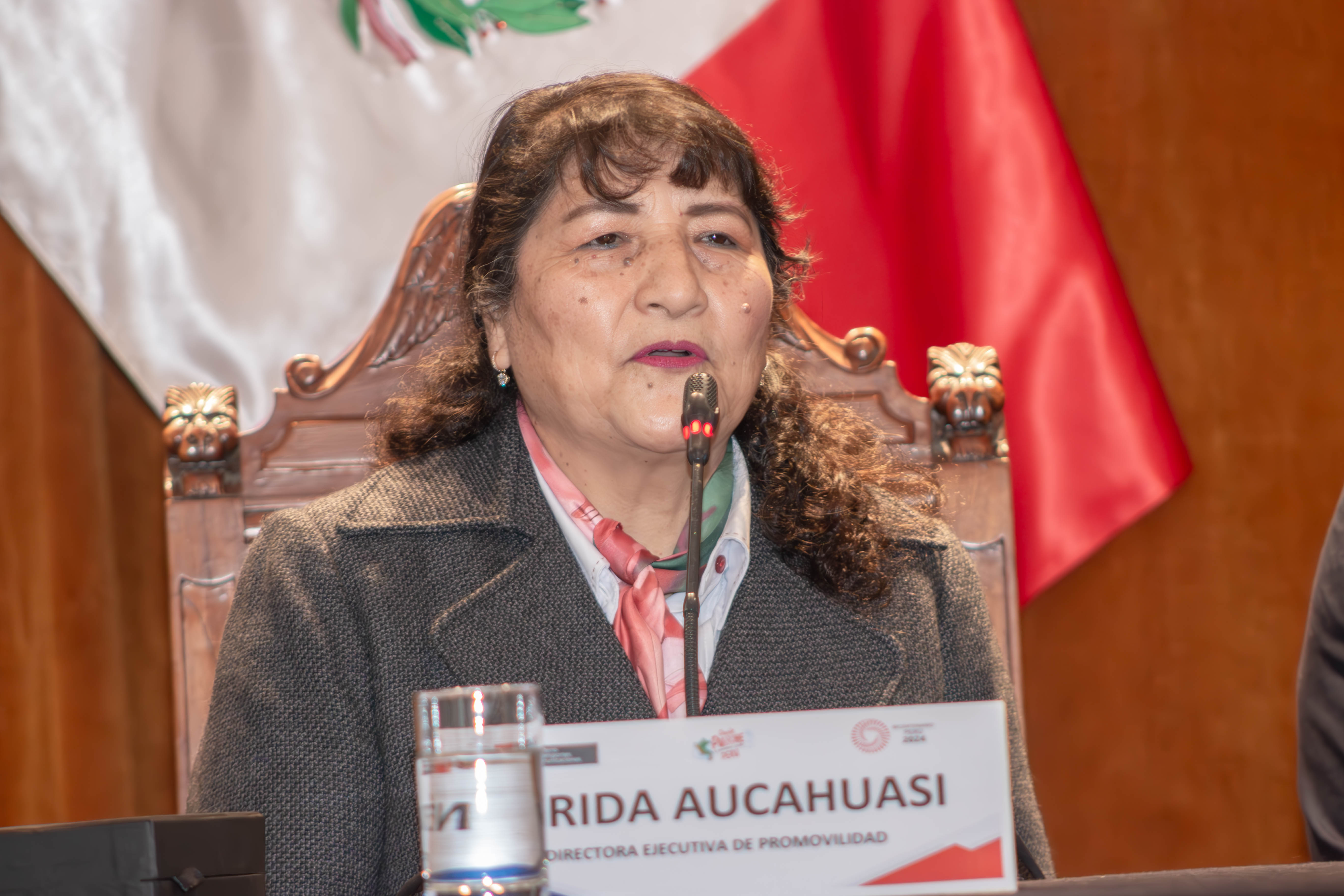 DIRECTORA DE PROMOVILIDAD