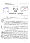 Vista preliminar de documento Resolucion Directoral Hospital Nacional Daniel Alcides Carrion