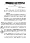 Vista preliminar de documento RESOLUCIÓN Nº 030-2024-CVH-GG