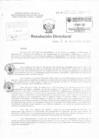 Vista preliminar de documento Resolucion Directoral Hospital Nacional Daniel Alcides Carrion