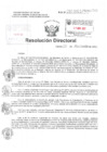 Vista preliminar de documento Resolucion Directoral Hospital Nacional Daniel Alcides Carrion