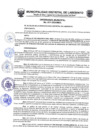 Vista preliminar de documento ORDENANZA MUNICIPALN0112024MDL