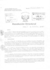 Vista preliminar de documento Resolucion Directoral Hospital Nacional Daniel Alcides Carrion