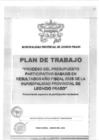 Vista preliminar de documento Plan de trabajo