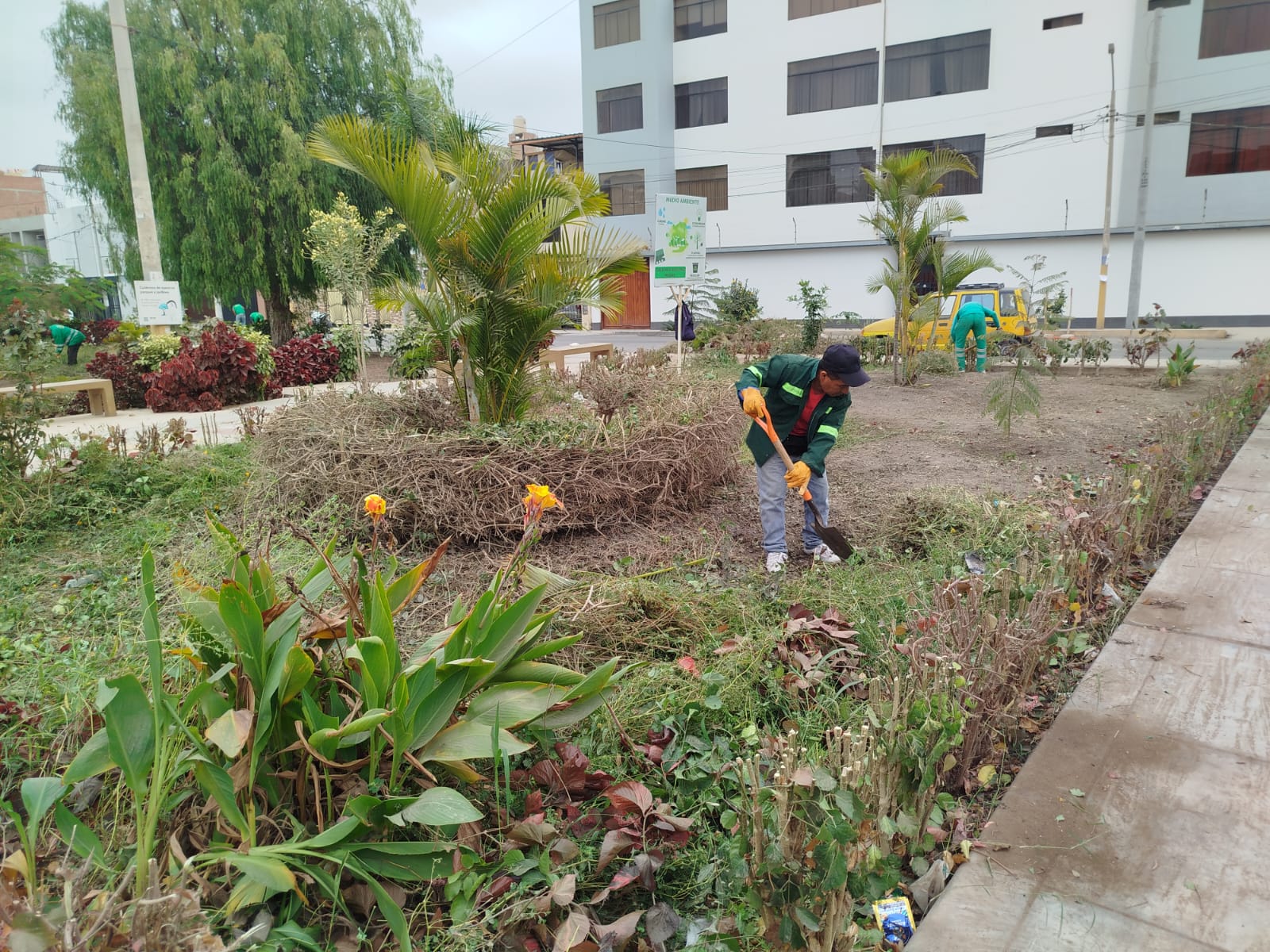 mantenimiento de parques y áreas verdes en Santa Ángela 2