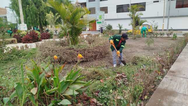 mantenimiento de parques y áreas verdes en Santa Ángela 2