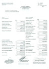 Vista preliminar de documento Estado de gestión y estado de situación financiera (marzo 2011)