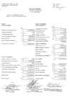 Vista preliminar de documento Estado de gestión y estado de situación financiera (junio 2010)