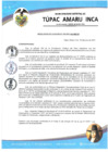 Vista preliminar de documento RESOLUCION DE ALCALDIA N° 133-2021-ALC-MDTAI