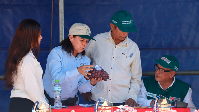Fotos: Municipalidad Provincial de Gran Chimú.
