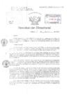 Vista preliminar de documento Resolucion Directoral Hospital Nacional Daniel Alcides Carrion 