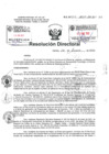 Vista preliminar de documento Resolucion Directoral Hospital Nacional Daniel Alcides Carrion