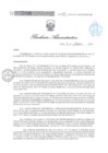 Vista preliminar de documento RA 439 OP 2024