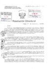 Vista preliminar de documento Resolucion Directoral Hospital Nacional Daniel Alcides Carrion