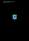Vista preliminar de documento DIRECTIVA N  002 -2024-MDCH-GM