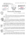 Vista preliminar de documento Resolucion Directoral Hospital Nacional Daniel Alcides Carrion