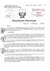 Vista preliminar de documento Resolucion Directoral Hospital Nacional Daniel Alcides Carrion