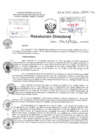 Vista preliminar de documento Resolucion Directoral  Hospital Nacional Daniel Alcides Carrion