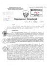 Vista preliminar de documento Resolucion Directoral Hospital Nacional Daniel Alcides Carrion