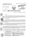 Vista preliminar de documento Resolucion Directoral Hospital Nacional Daniel Alcides Carrion