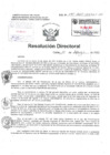 Vista preliminar de documento Resolucion Directoral Hospital Nacional Daniel Alcides Carrion
