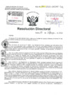 Vista preliminar de documento Resolucion Directoral  Hospital Nacional Daniel Alcides Carrion