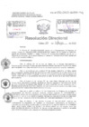 Vista preliminar de documento Resolucion Directoral Hospital Nacional Daniel Alcides Carrion