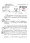 Vista preliminar de documento Resolucion Directoral Hospital Nacional Daniel Alcides Carrion