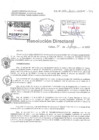 Vista preliminar de documento Resolucion Directoral Hospital Nacional Daniel Alcides Carrion