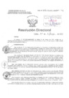 Vista preliminar de documento Resolucion Directoral Hospital Nacional Daniel Alcides Carrion