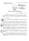 Vista preliminar de documento Resolucion Directoral Hospital Nacional Daniel Alcides Carrion