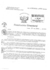 Vista preliminar de documento Resolucion Directoral  Hospital Nacional Daniel Alcides Carrion