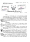Vista preliminar de documento Resolucion Directoral Hospital Nacional Daniel Alcides Carrion