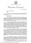 Vista preliminar de documento RD-145