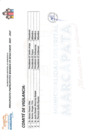 Vista preliminar de documento Comité de Vigilancia