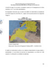 Vista preliminar de documento ALN - PMO-4