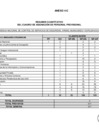 Vista preliminar de documento FORMATO C