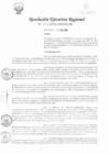 Vista preliminar de documento RER-077-2020-GRSM-GR