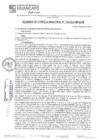 Vista preliminar de documento ACM24N138