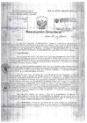 Vista preliminar de documento Resolucion Directoral Hospital Nacional Daniel Alcides Carrion