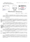 Vista preliminar de documento Resolucion Directoral  Hospital Nacional Daniel Alcides Carrion
