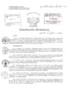 Vista preliminar de documento Resolucion Directoral Hospital Nacional Daniel Alcides Carrion