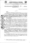 Vista preliminar de documento GSRU-103