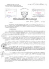 Vista preliminar de documento Resolucion Directoral Hospital Nacional Daniel Alcides Carrion