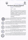 Vista preliminar de documento RDR Nº 180-2024001